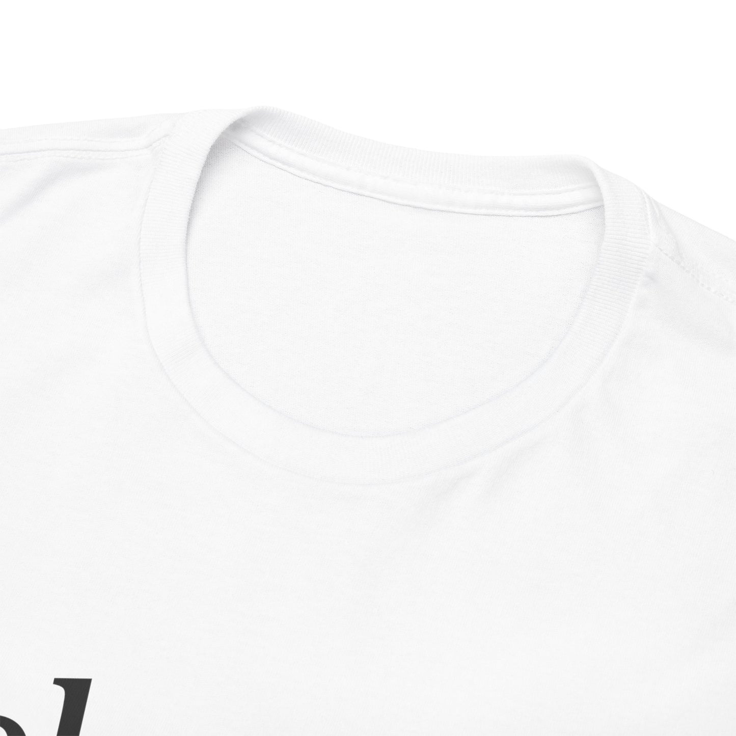 Belonging Without Boundaries Unisex Heavy Cotton Tee