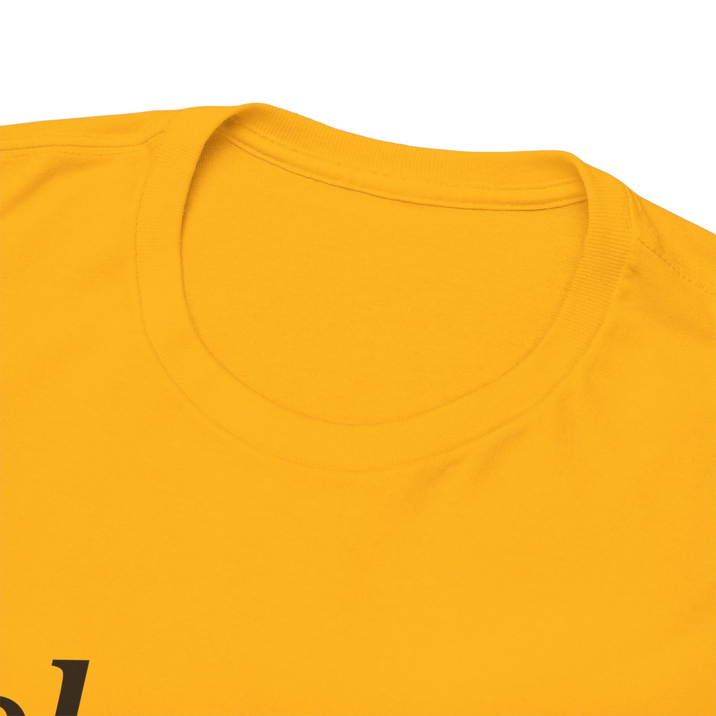 Belonging Without Boundaries Unisex Heavy Cotton Tee