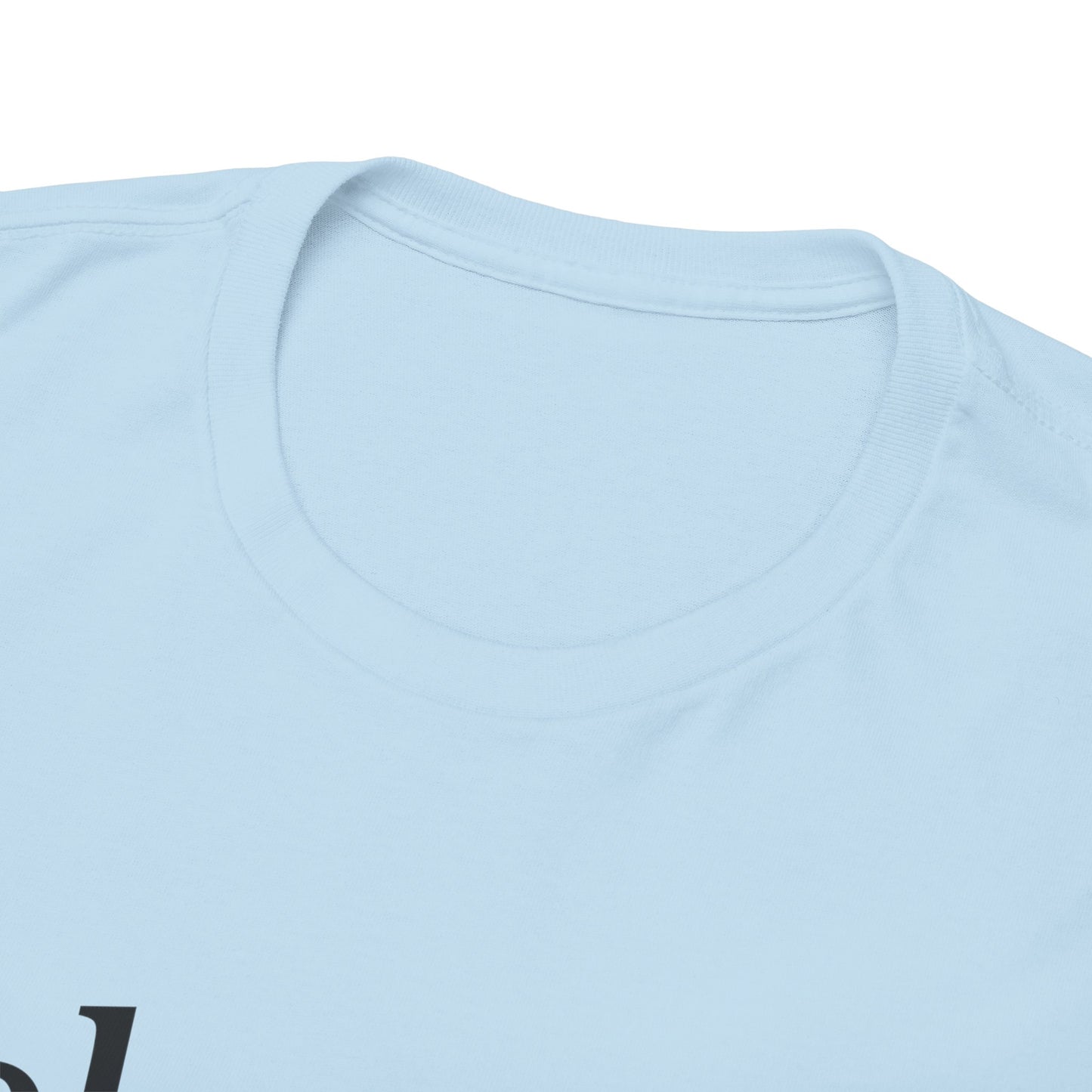 Belonging Without Boundaries Unisex Heavy Cotton Tee